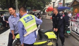 厦门电动车新闻爆料,聚焦安全与环保，共筑绿色出行新篇章