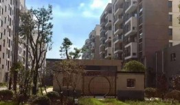 爆料苏州房子事件视频,揭秘背后真相与争议